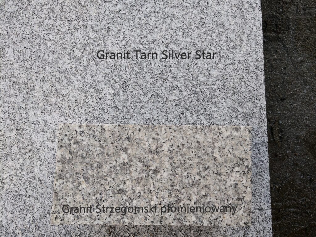 tarn i strzegom plomien